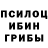 Псилоцибиновые грибы Psilocybe feex deef