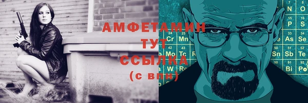 ПСИЛОЦИБИНОВЫЕ ГРИБЫ Бородино