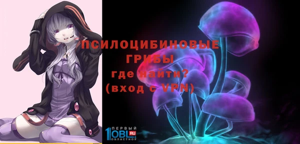 ешки Покровск