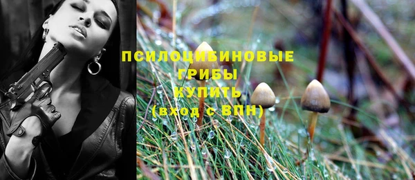 спиды Верея