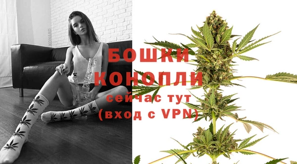 ГАЛЛЮЦИНОГЕННЫЕ ГРИБЫ Покачи