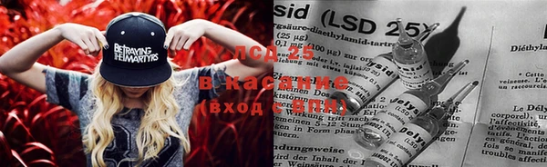 ПСИЛОЦИБИНОВЫЕ ГРИБЫ Бородино