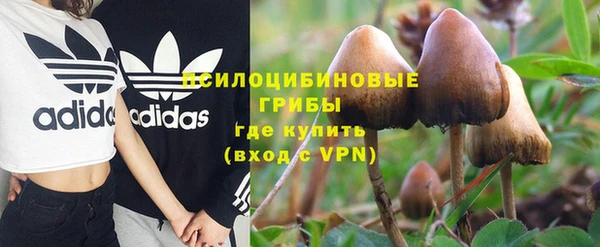 а пвп мука Верхний Тагил