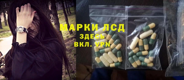 ПСИЛОЦИБИНОВЫЕ ГРИБЫ Бородино